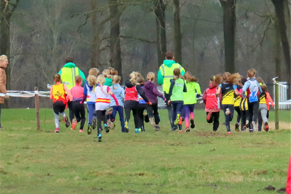 De foto's van onze veldloop zijn beschikbaar