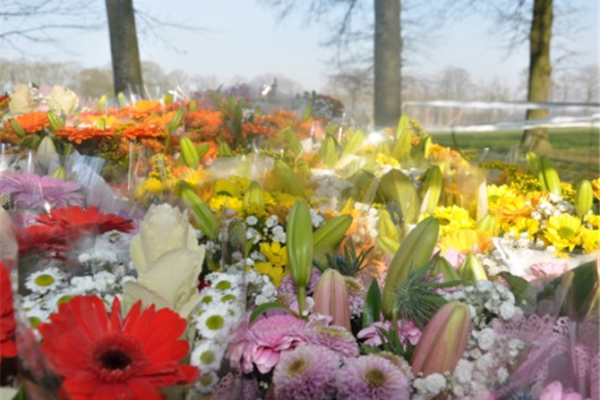 De foto's van de 19e Veldloop der Noorderkempen staan online